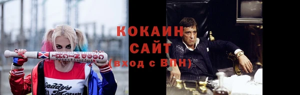 гашик Аркадак