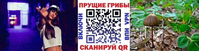 кракен онион  Тетюши  Псилоцибиновые грибы ЛСД  наркота 
